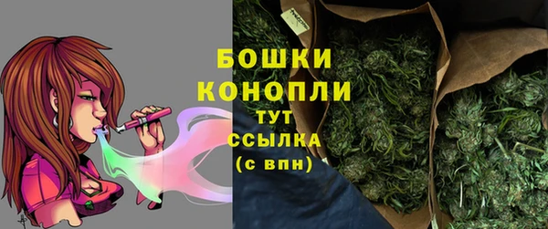 гидра Аркадак