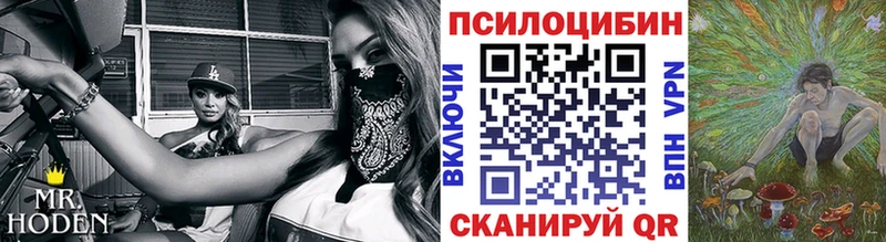 Псилоцибиновые грибы Magic Shrooms  мега tor  Сортавала  где продают наркотики 